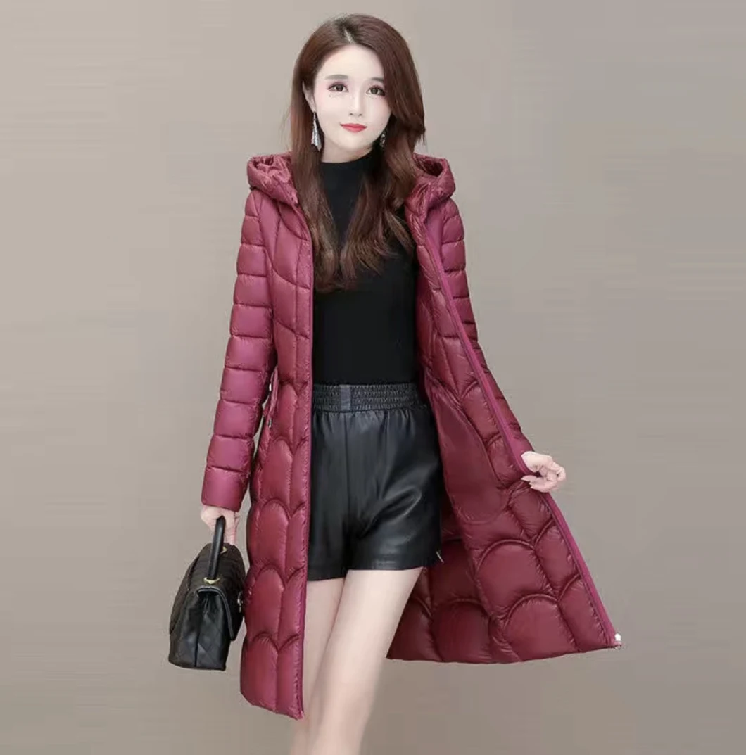 51 Newest Design for Ladies Winter Coat Item Number Qh8062 Noble and Elegant Ladies Winter Outwear